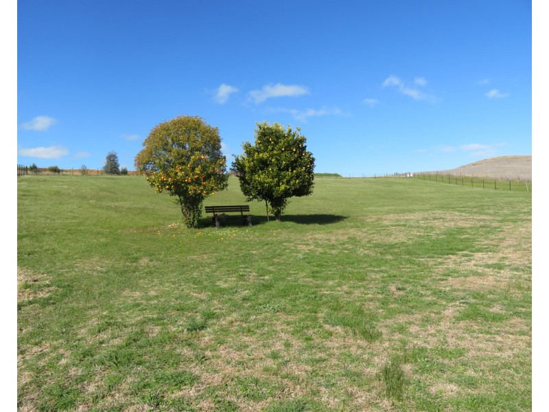 336 Neil McInerney Street, Gundagai NSW 2722