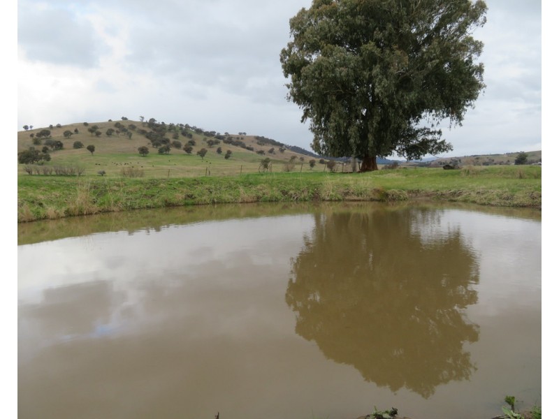 120 Grahamstown Road, Grahamstown NSW 2729