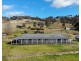 131 Sandy Gully Road “Sunnyside”, Adelong NSW 2729