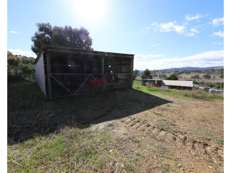 131 Sandy Gully Road “Sunnyside”, Adelong NSW 2729