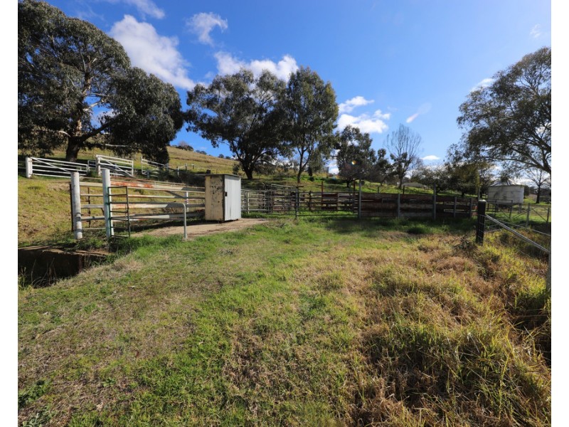 131 Sandy Gully Road “Sunnyside”, Adelong NSW 2729