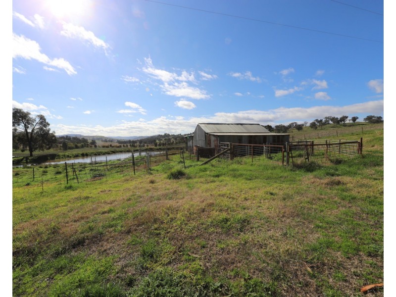 131 Sandy Gully Road “Sunnyside”, Adelong NSW 2729
