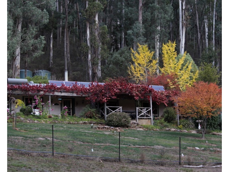 2/55 Alta Villa Road, Batlow NSW 2730