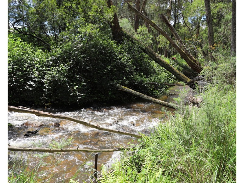 2/55 Alta Villa Road, Batlow NSW 2730