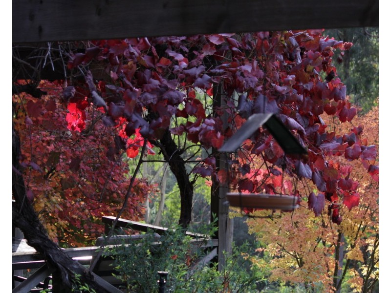 2/55 Alta Villa Road, Batlow NSW 2730