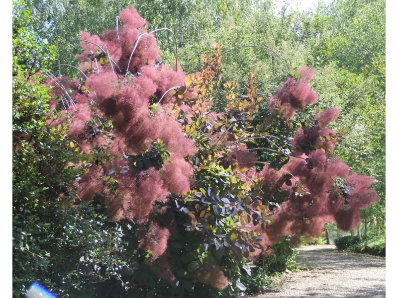 2/55 Alta Villa Road, Batlow NSW 2730