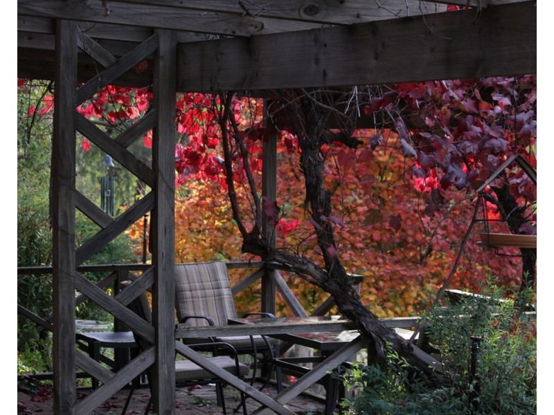 2/55 Alta Villa Road, Batlow NSW 2730