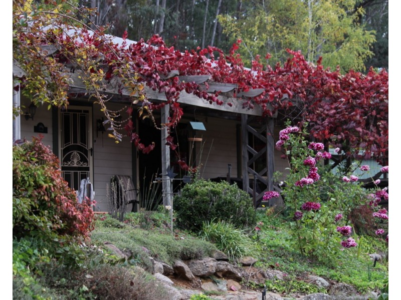 2/55 Alta Villa Road, Batlow NSW 2730