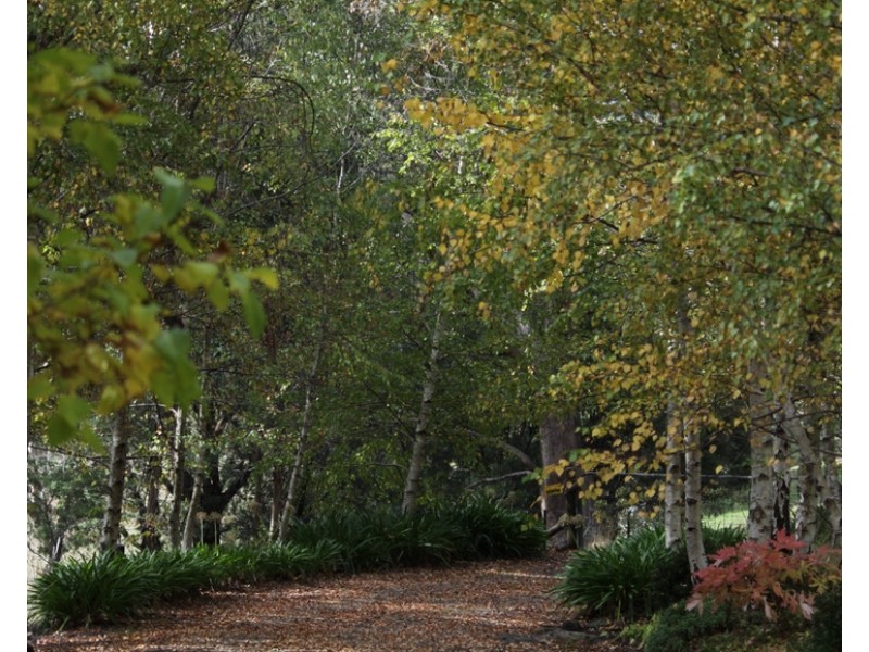 2/55 Alta Villa Road, Batlow NSW 2730