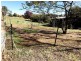 34 (Lot 13) LYNCH STREET, Adelong NSW 2729