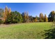 268 Wondalga Road, Adelong NSW 2729