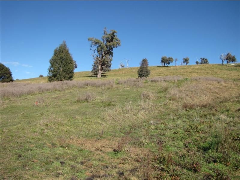 1320 Wondalga Road, Tumut NSW 2720