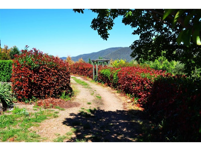 954 Snowy Mountains Highway, Tumut NSW 2720