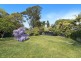 151 Plateau Road, Bilgola Plateau NSW 2107