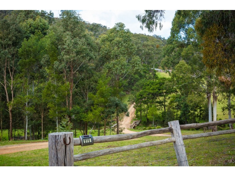 916 NETHERCOTE ROAD, Nethercote NSW 2549
