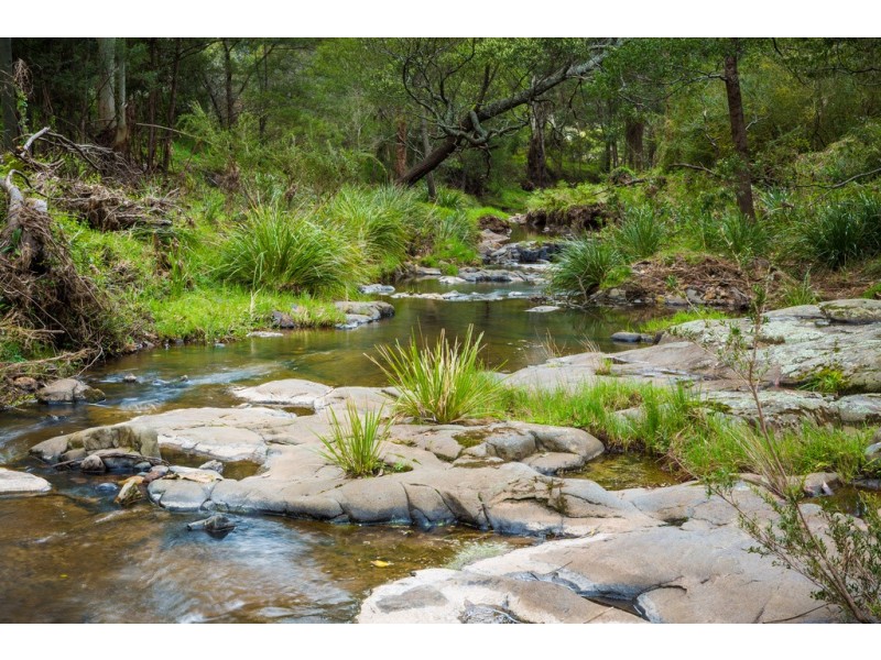 916 NETHERCOTE ROAD, Nethercote NSW 2549