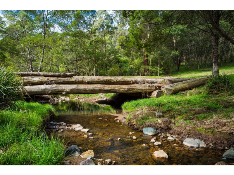 916 NETHERCOTE ROAD, Nethercote NSW 2549