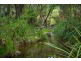 916 NETHERCOTE ROAD, Nethercote NSW 2549