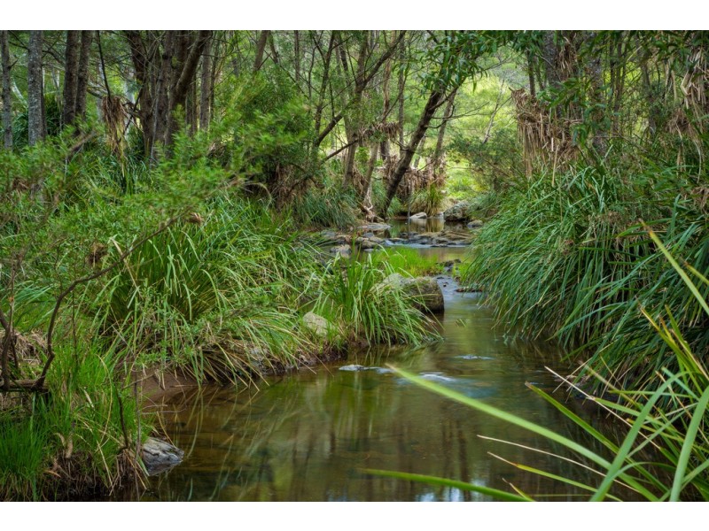 916 NETHERCOTE ROAD, Nethercote NSW 2549