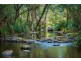 916 NETHERCOTE ROAD, Nethercote NSW 2549