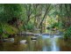 916 NETHERCOTE ROAD, Nethercote NSW 2549