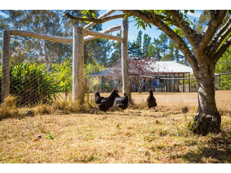 620 BACK CREEK ROAD, Lochiel NSW 2549