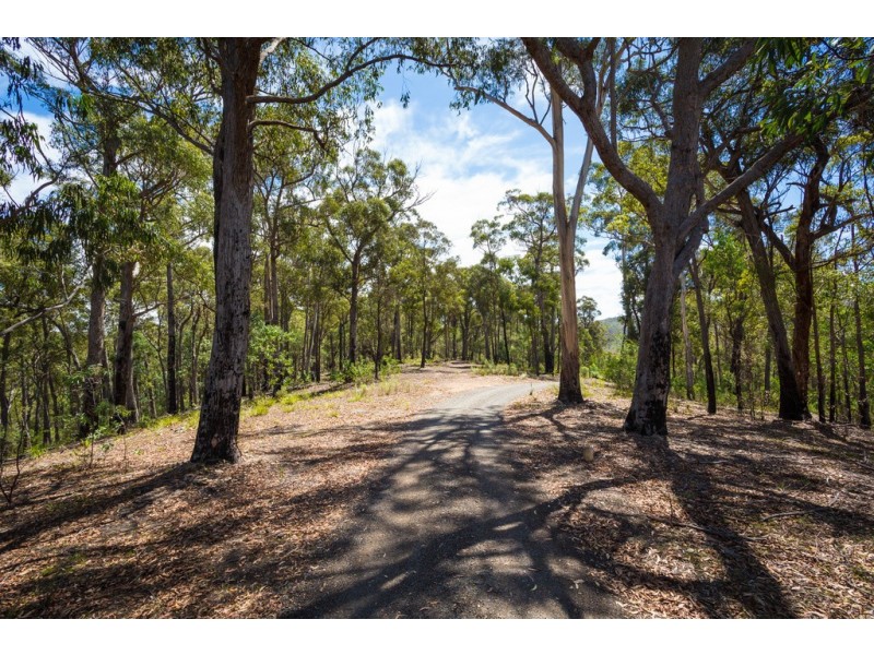 2250 PRINCES HIGHWAY, Yellow Pinch NSW 2548