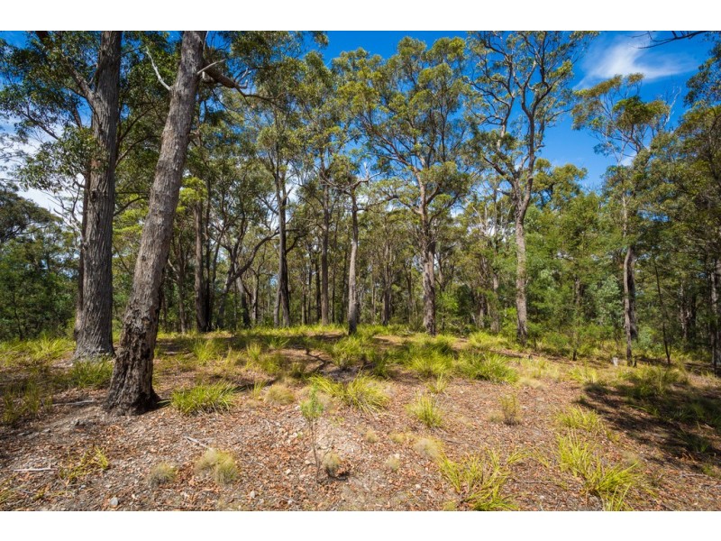 2250 PRINCES HIGHWAY, Yellow Pinch NSW 2548