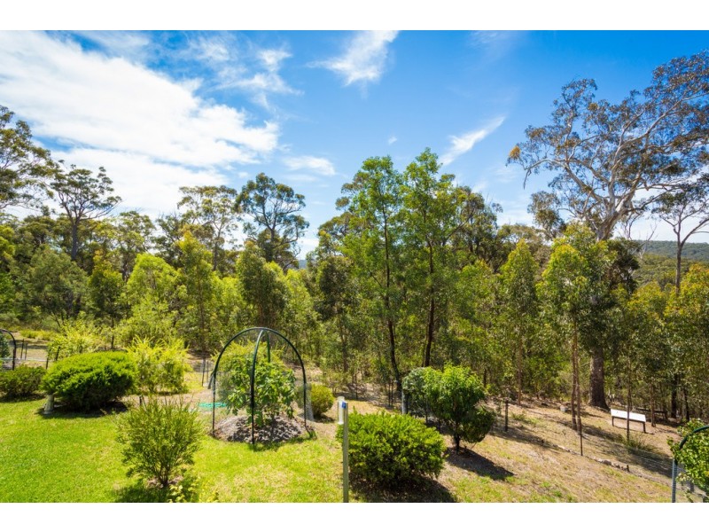 2250 PRINCES HIGHWAY, Yellow Pinch NSW 2548