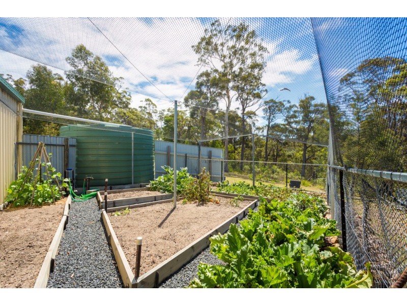 2250 PRINCES HIGHWAY, Yellow Pinch NSW 2548