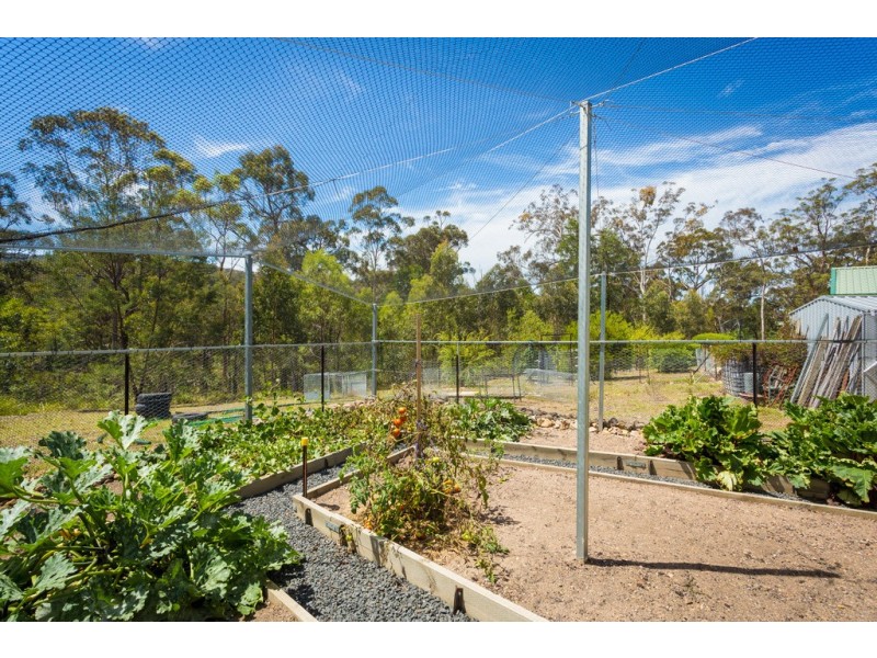 2250 PRINCES HIGHWAY, Yellow Pinch NSW 2548