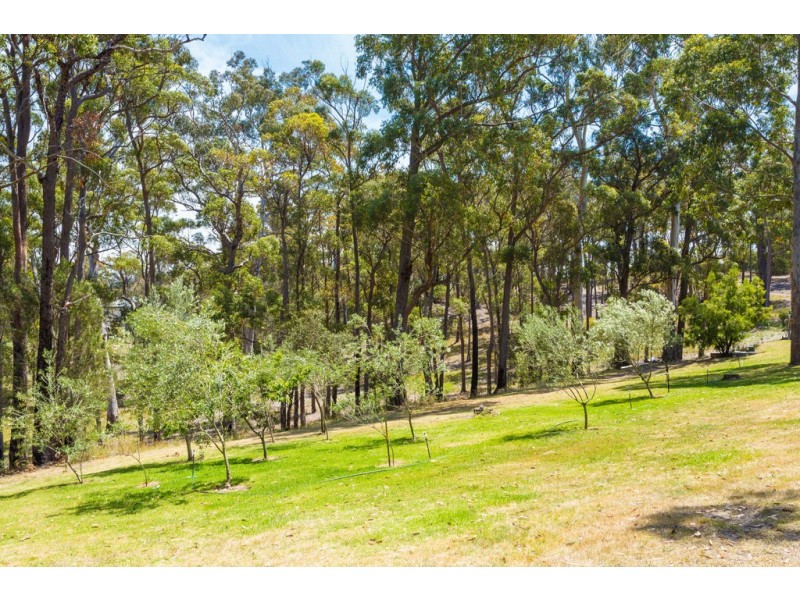 45 SETTLERS ROAD, Pambula NSW 2549