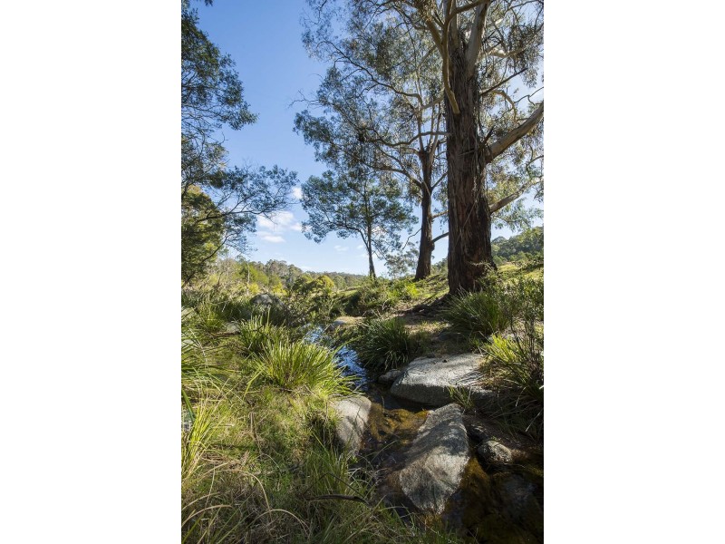 2866 MOUNT DARRAGH ROAD, Wyndham NSW 2550