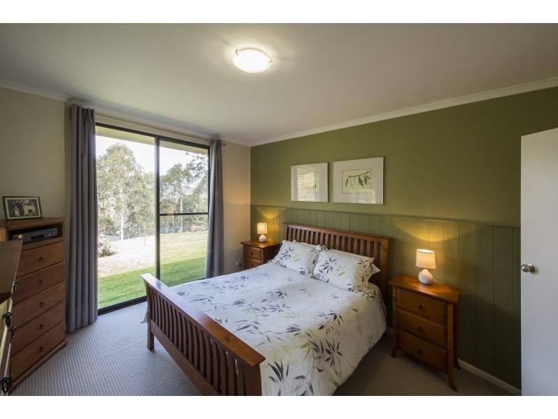 2866 MOUNT DARRAGH ROAD, Wyndham NSW 2550