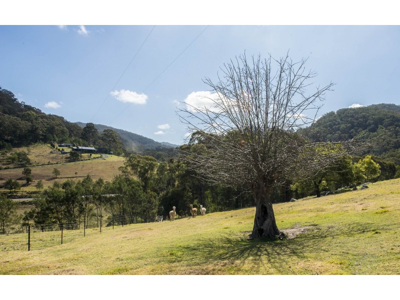 2866 MOUNT DARRAGH ROAD, Wyndham NSW 2550
