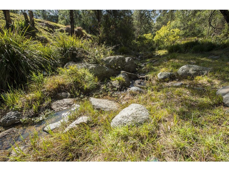 2866 MOUNT DARRAGH ROAD, Wyndham NSW 2550