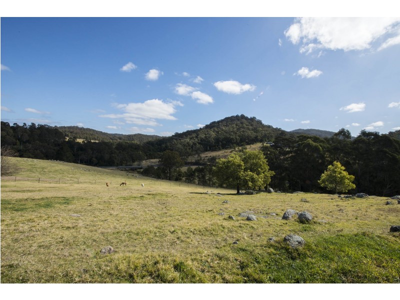 2866 MOUNT DARRAGH ROAD, Wyndham NSW 2550