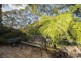 54 SURF CIRCLE, Tura Beach NSW 2548