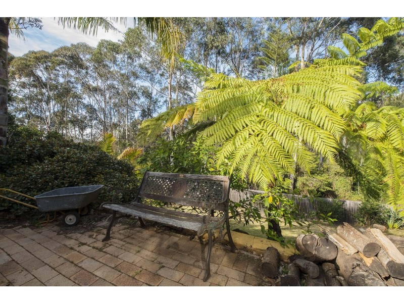 54 SURF CIRCLE, Tura Beach NSW 2548