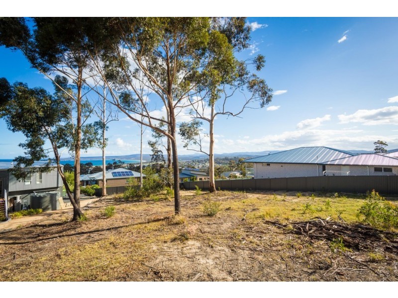 12 CURLEW CLOSE, Mirador NSW 2548