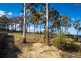 12 CURLEW CLOSE, Mirador NSW 2548