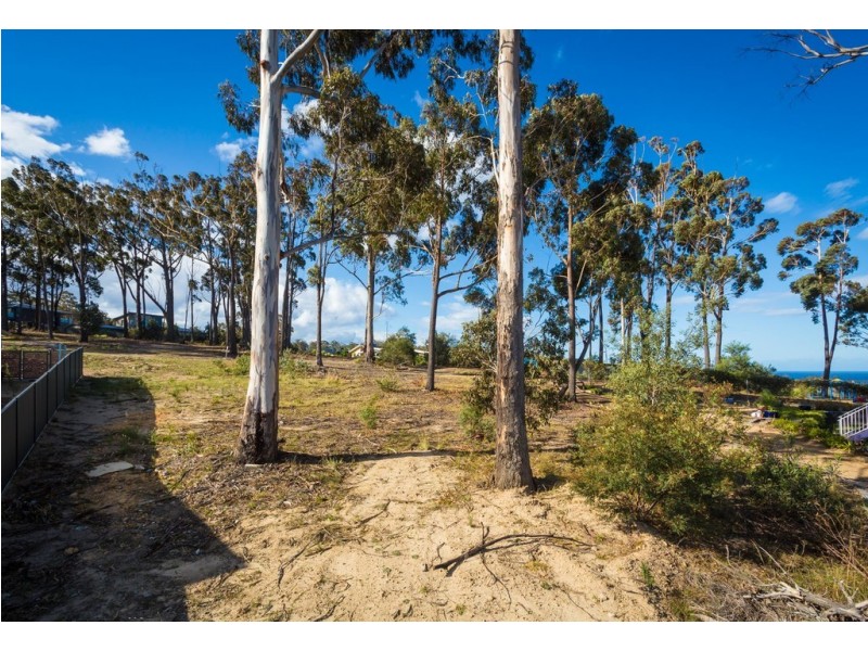 12 CURLEW CLOSE, Mirador NSW 2548