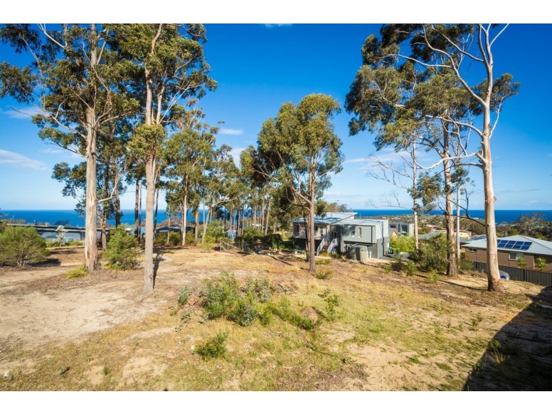 12 CURLEW CLOSE, Mirador NSW 2548