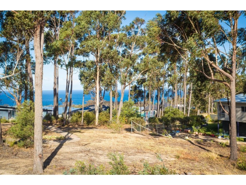12 CURLEW CLOSE, Mirador NSW 2548