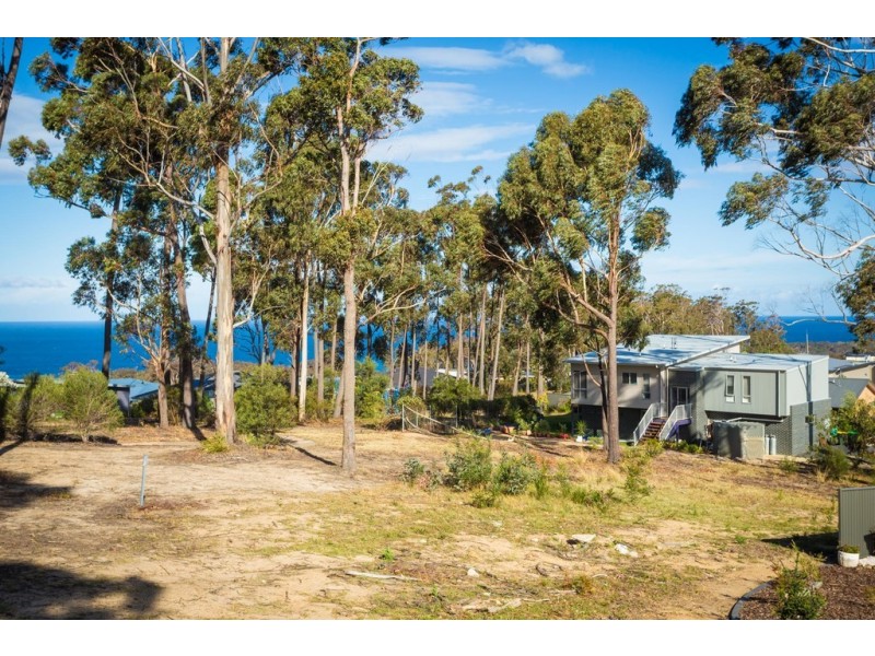 12 CURLEW CLOSE, Mirador NSW 2548