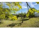 1769 Mrytle Mountain Road, Candelo NSW 2550