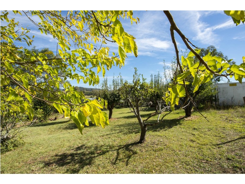 1769 Mrytle Mountain Road, Candelo NSW 2550