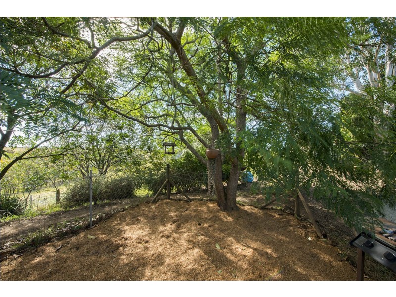 1769 Mrytle Mountain Road, Candelo NSW 2550