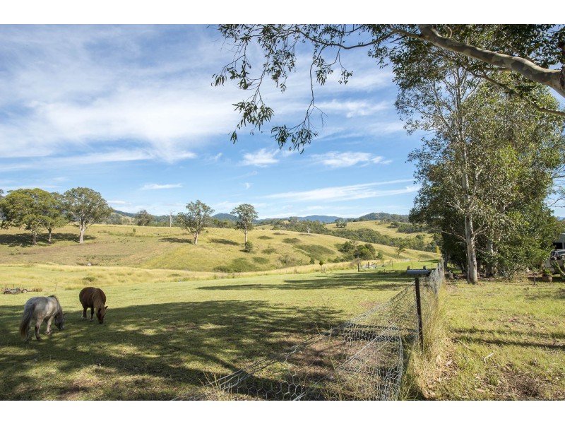 1769 Mrytle Mountain Road, Candelo NSW 2550