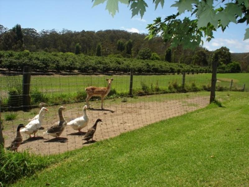 16 Eurack Court, Kiah NSW 2551